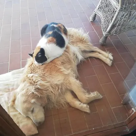 Sobe Apartma Galic Casa de hóspedes