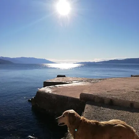 Sobe Apartma Galic Pensjonat