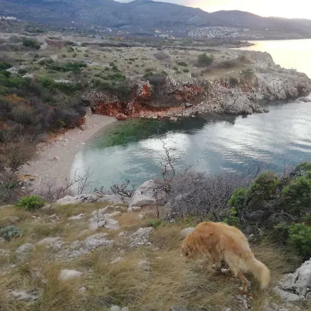 Sobe Apartma Galic Guest house 3*